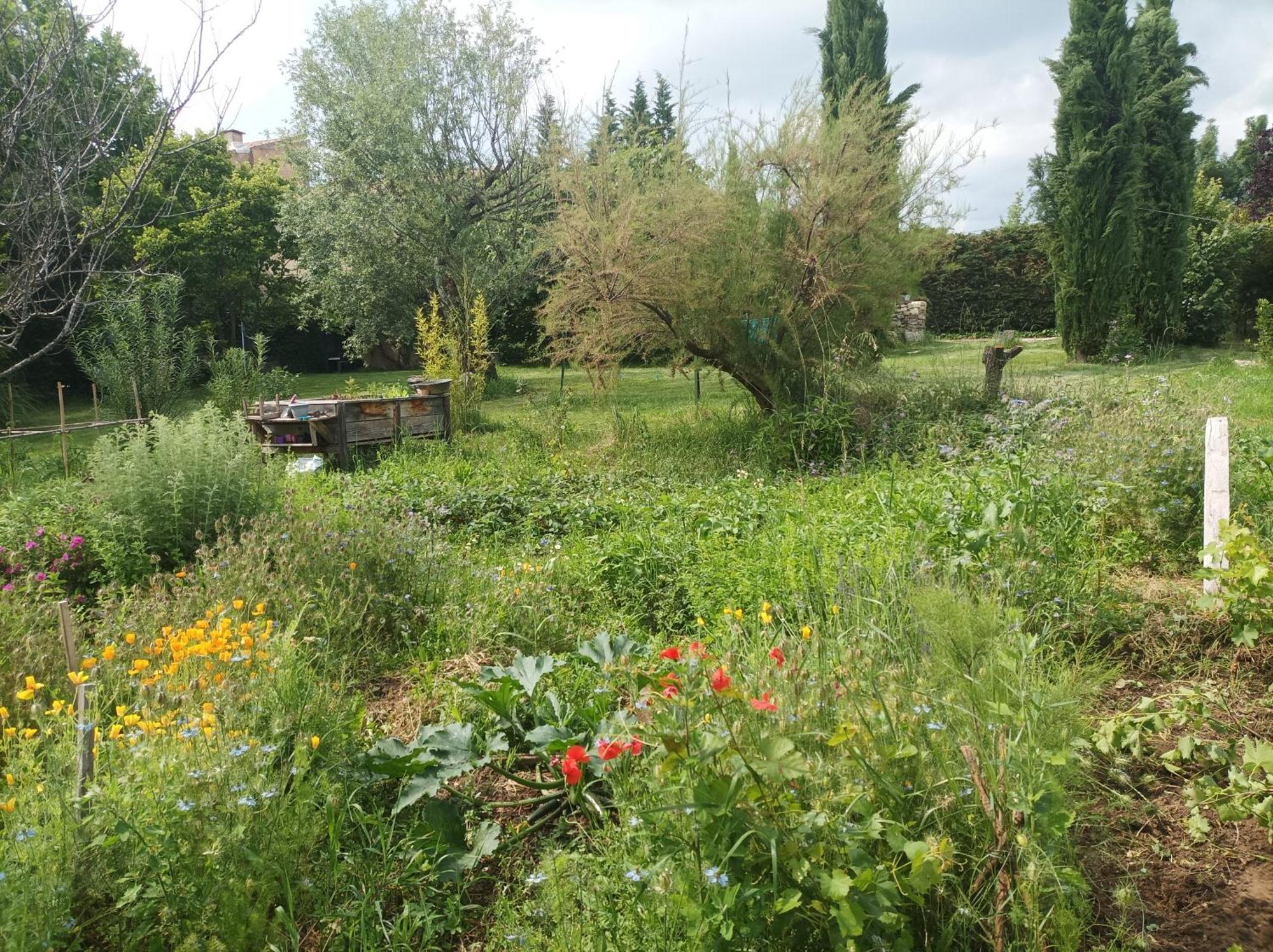 Campagne De Pre Grand Bed & Breakfast Saint-Étienne-les-Orgues Exterior foto